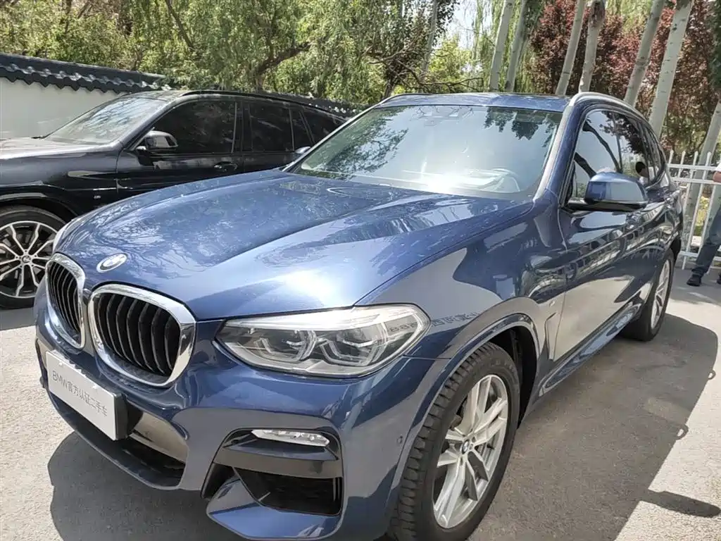 BMW X3 2018 xDrive25i M Sport Package China V