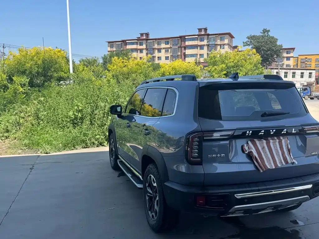 Haval Dargo 2021 2021 2.0T DCT AWD Howling Celestial Dog Edition