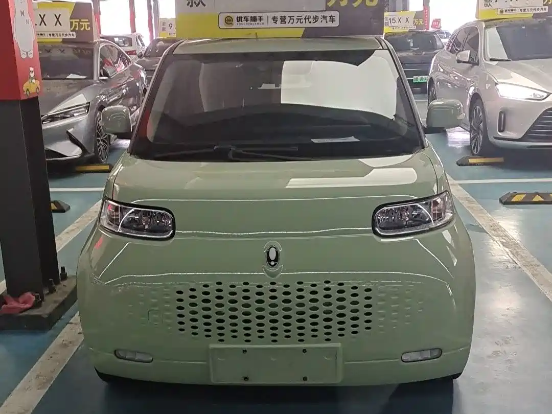 Ora White Cat 2021 2022 Upgraded 305km Luxury Edition LFP