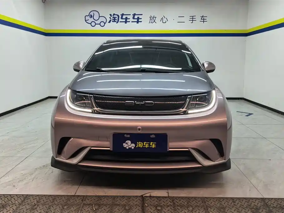 BYD Dolphin 2021 401km Knight Edition фото 2