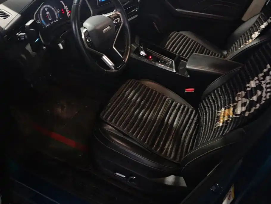 Haval Chitu 2022 2022 Power Edition 1.5T Purple Copper Rabbit
