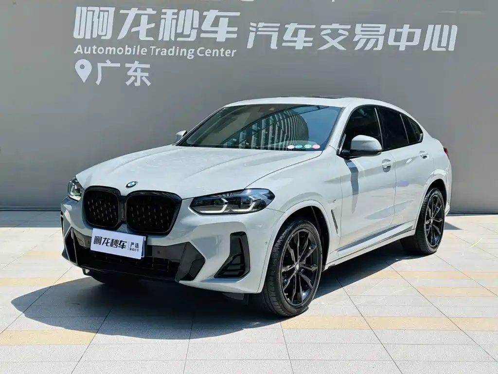 BMW X4 2023 2022 xDrive 30i M Sport Blackout Package