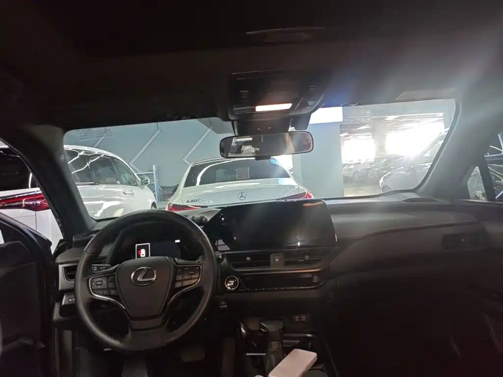 Lexus UX 2023 2022 260h Fun Edition