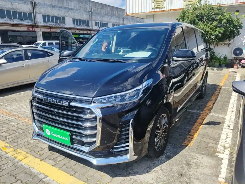 Фото 1 - Maxus G20