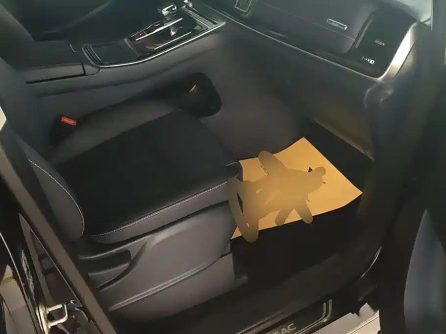 GAC Trumpchi Trumpchi M8 2023 Leading Series 390T Premium Edition фото 8