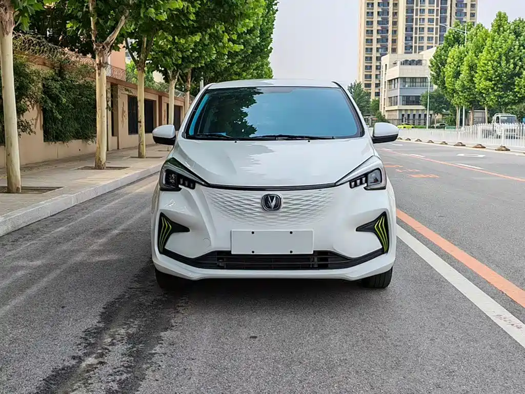 Changan Benben E-Star 2021 2020 Heartbeat Edition (NMC Battery)