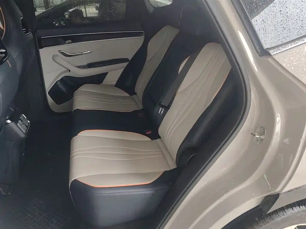 BYD Song PLUS PHEV 2024 Glory Edition DM-i 110km Flagship фото 16