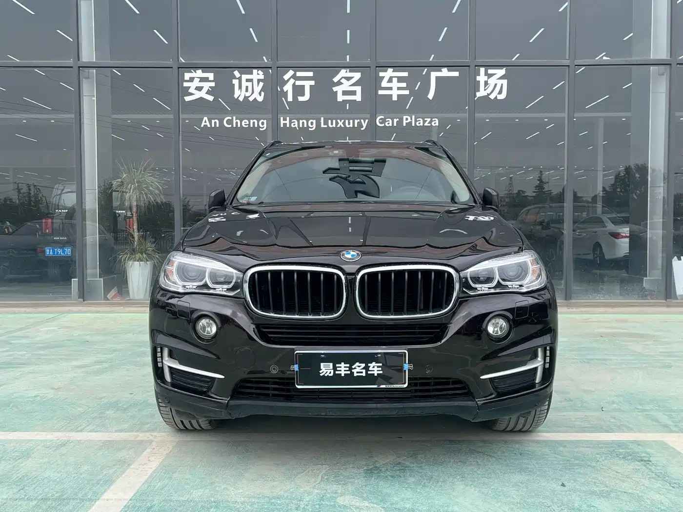 BMW X5 (Import) 2014 xDrive35i Leading фото 2