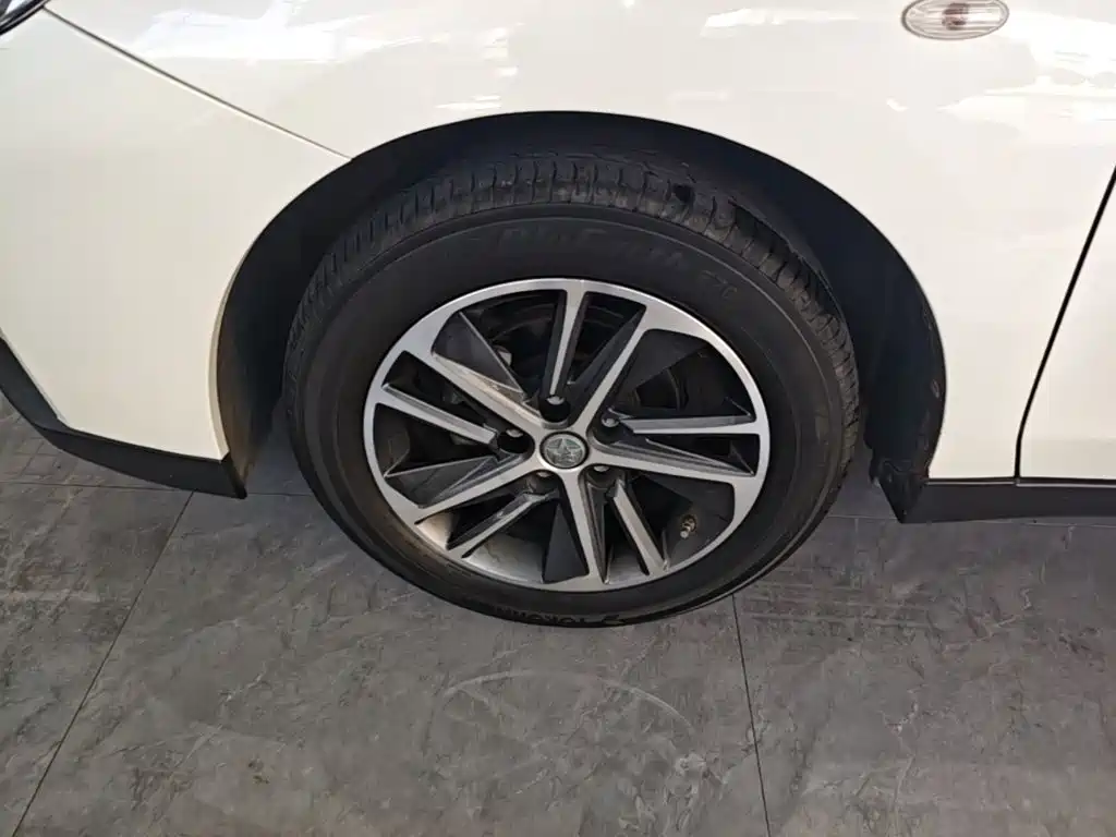 Venucia D60 2020 2019 100K Glory 1.6L Entry Manual Chen Shang Edition China VI