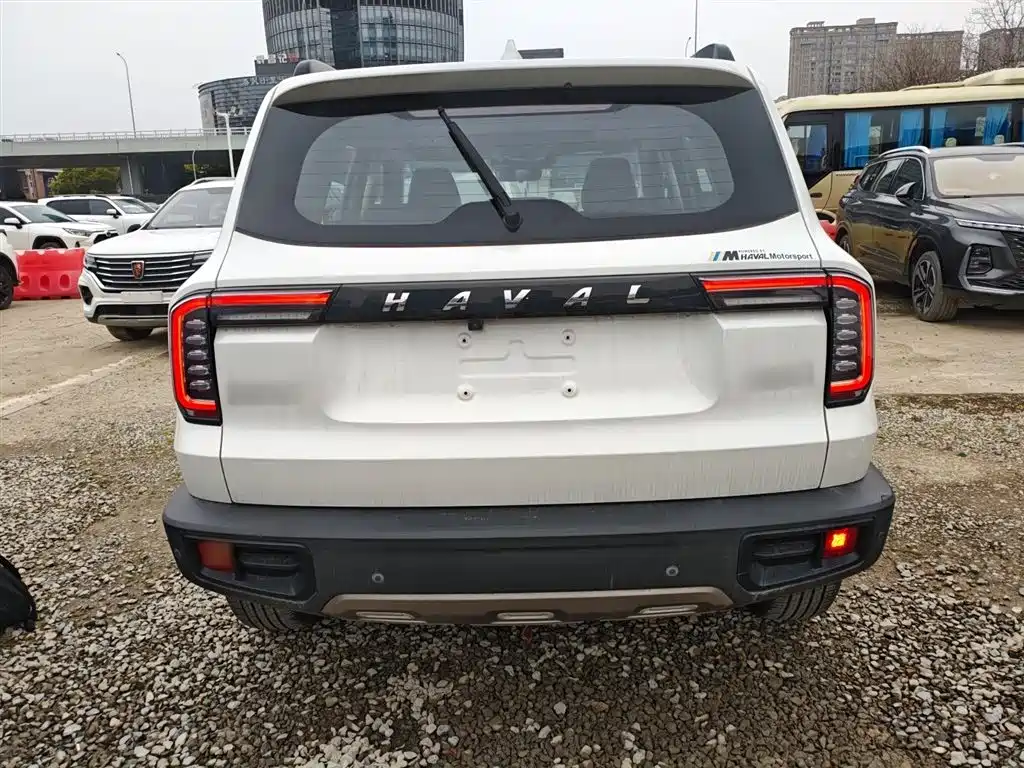 Фото 6 - Haval Dargo