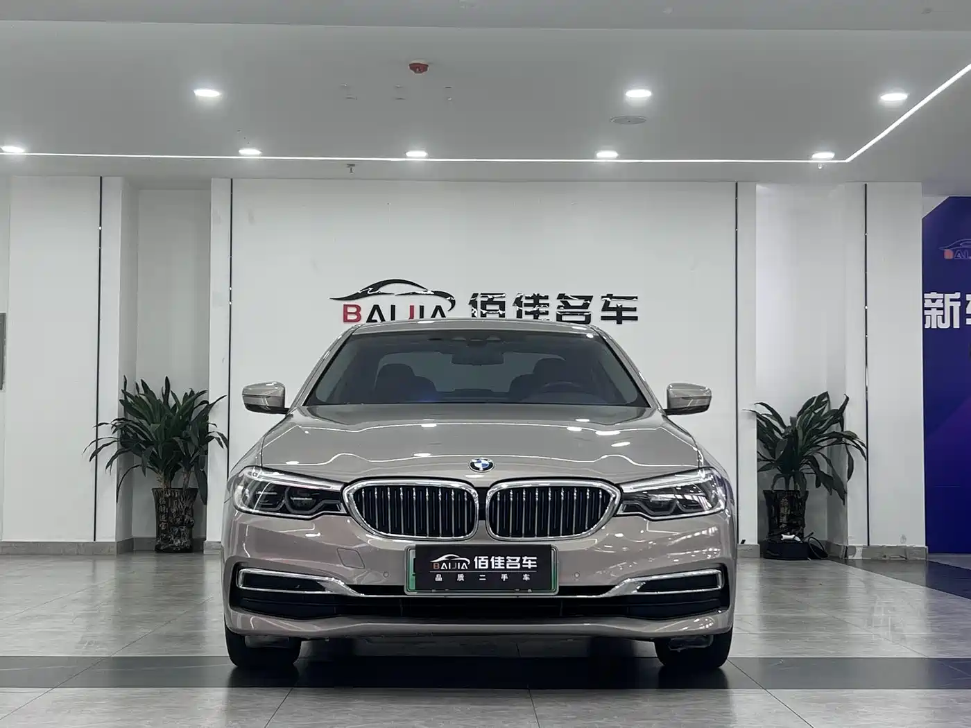 BMW 5 SERIES NEW ENERGY