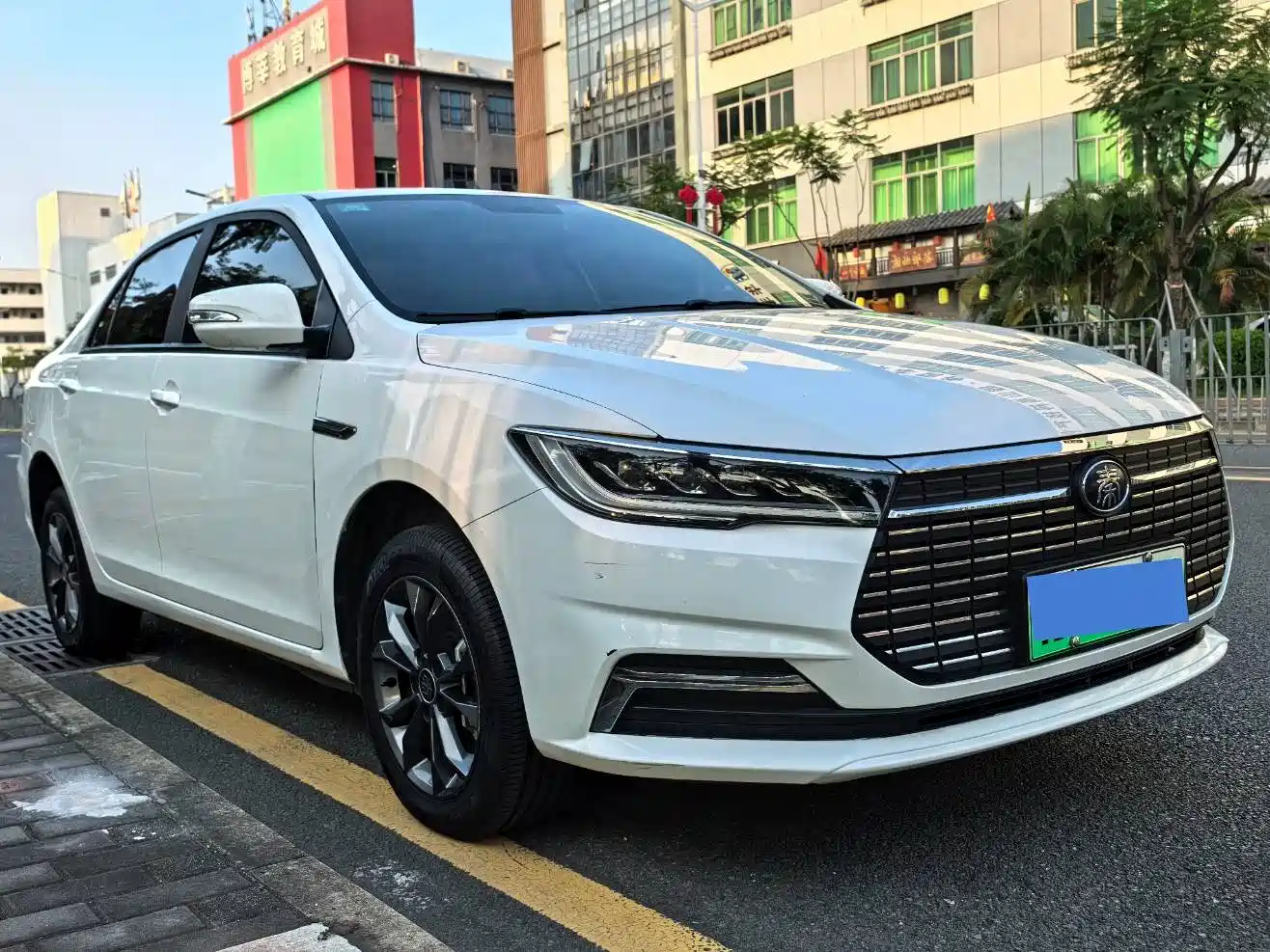 BYD Qin New Energy 2019 Travel Edition фото 3