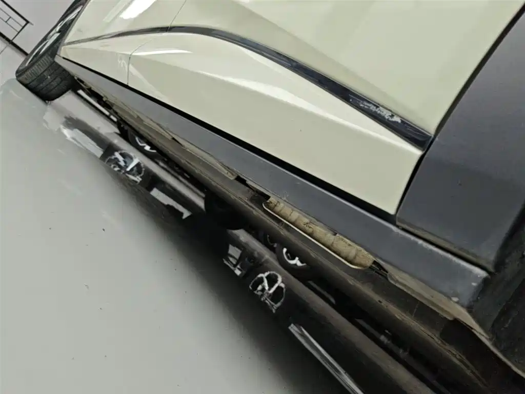 BYD Dolphin 2023 420km Fashion Edition фото 22