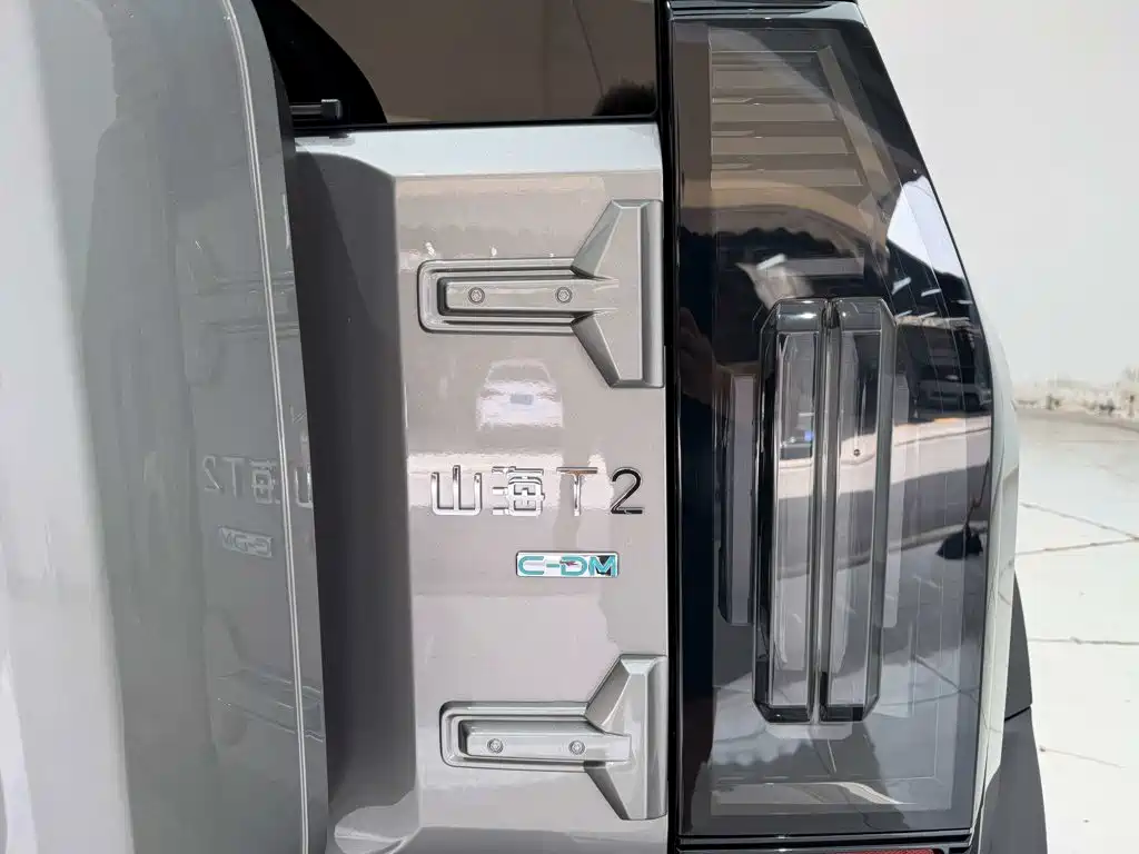 Jetour Shanhai T2 2025 2024 C-DM 208KM Wilderness Edition