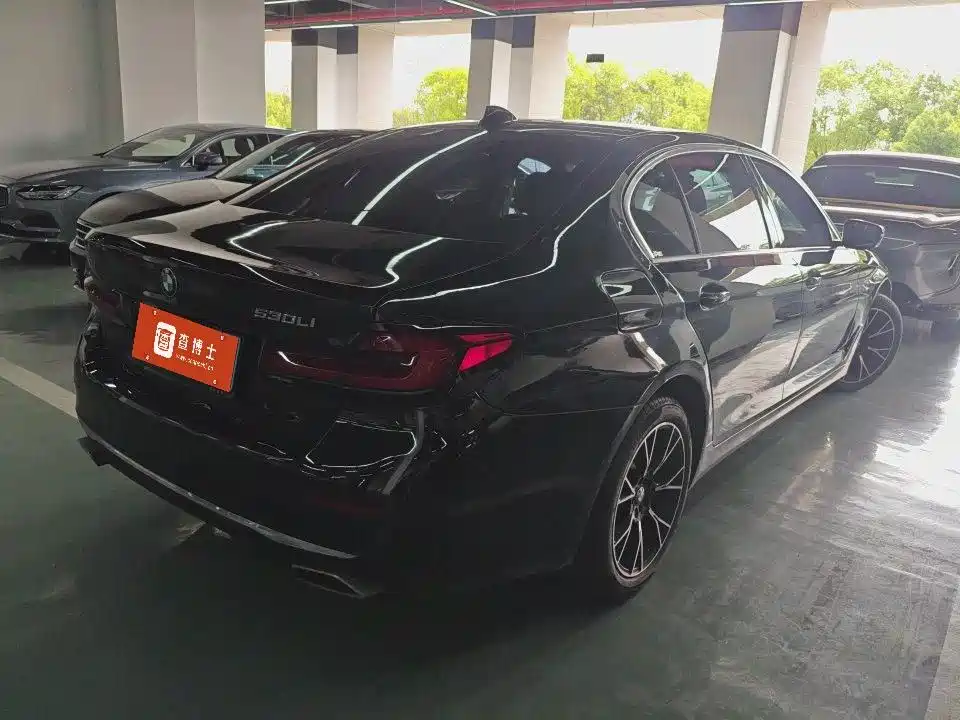 BMW 5 Series 2021 530Li Leading Luxury Package фото 9