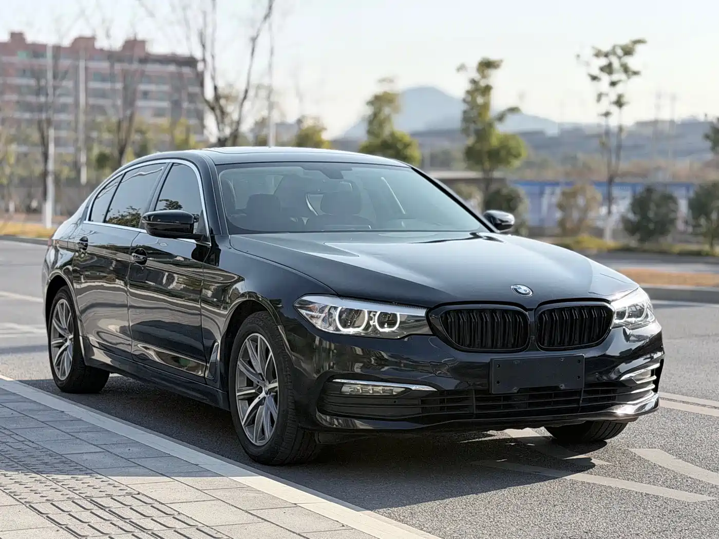 BMW 5 Series 2018 528Li Launch Special Edition фото 3
