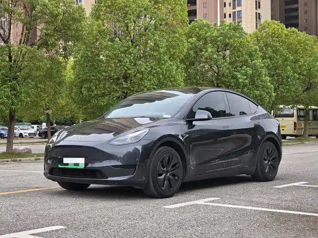 Tesla Model Y Задний привод