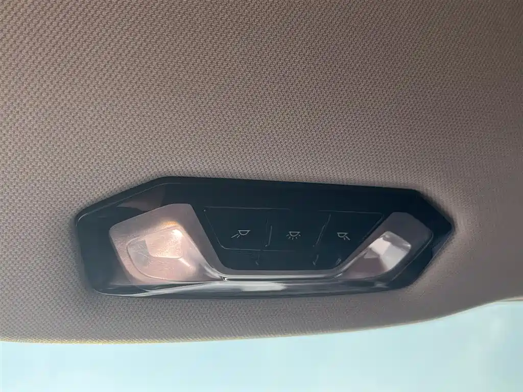 BMW 3 Series 2021 Facelift 325Li M Sport Package фото 29