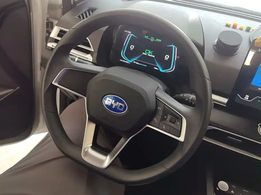 BYD e2 2020 2020 Upgrade Standard Range Standard Model