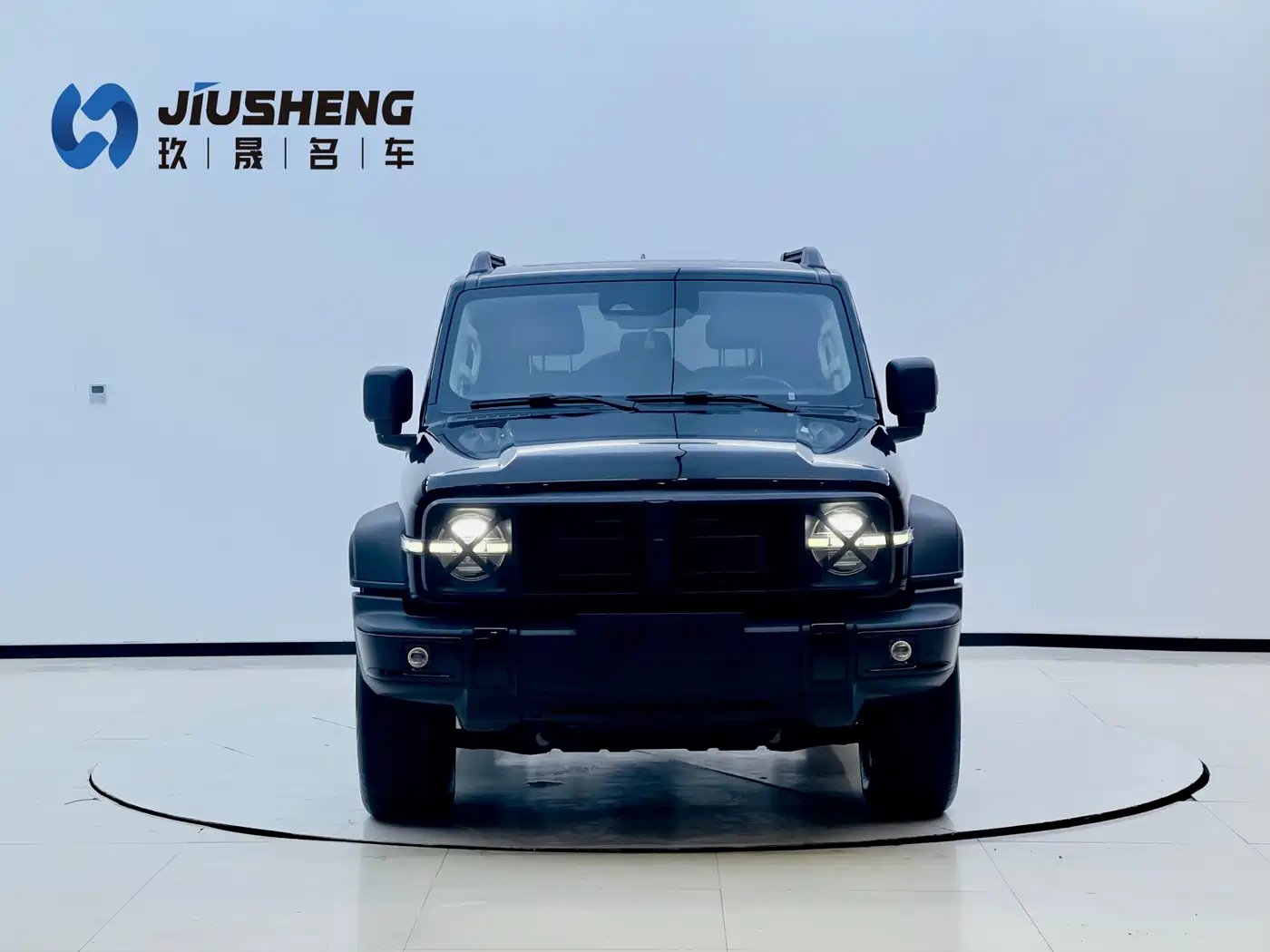 TANK TANK 300 NEW ENERGY