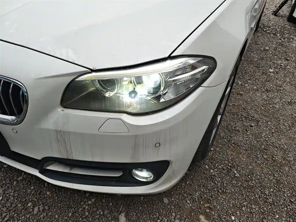 BMW 5 Series (Import) 2015 520i Elegance фото 18