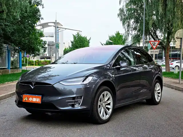  Tesla Model X 2017 Model X 100D Long Range