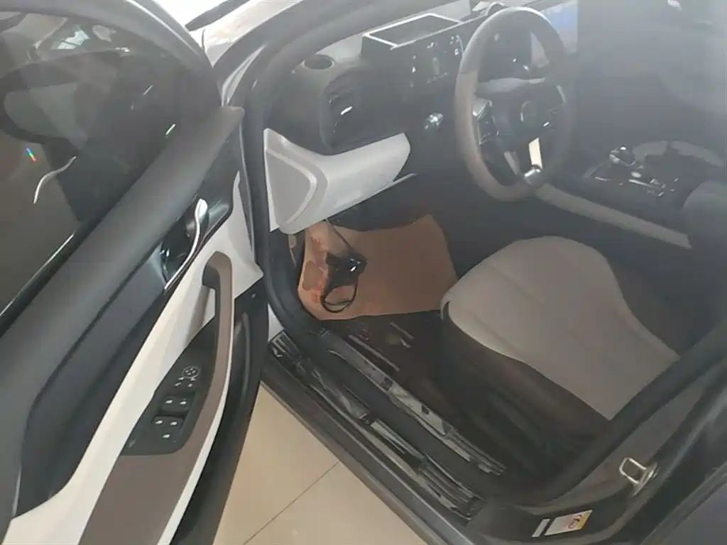 BYD Qin PLUS 2023 Champion Edition DM-i 55KM Leading фото 16