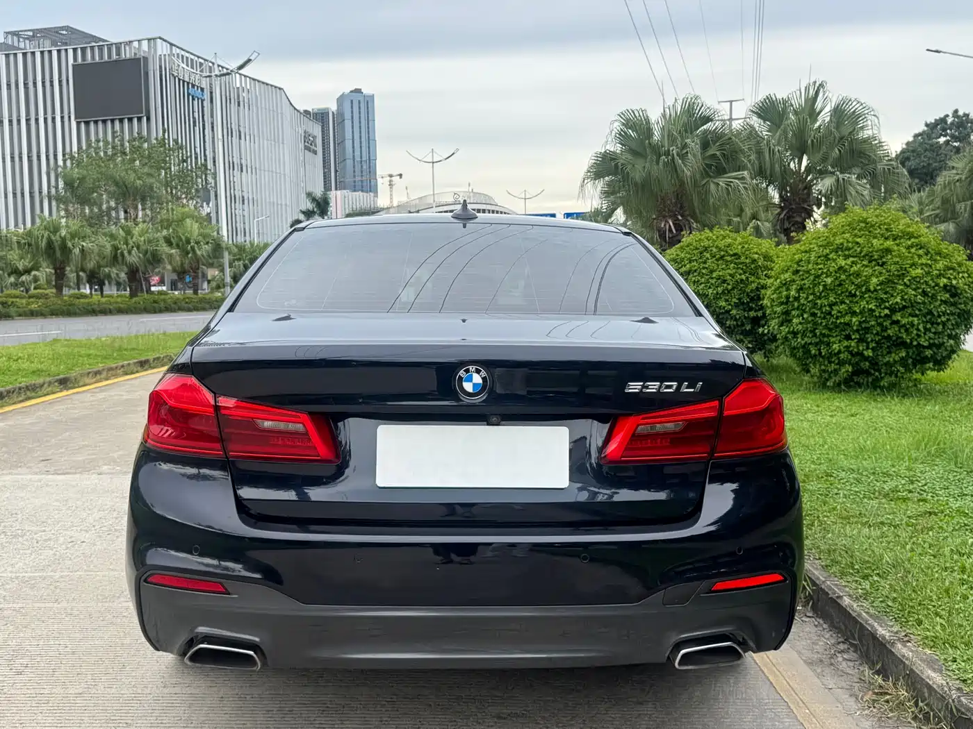 BMW 5 Series 2018 Facelift 530Li Leading M Sport Package фото 5