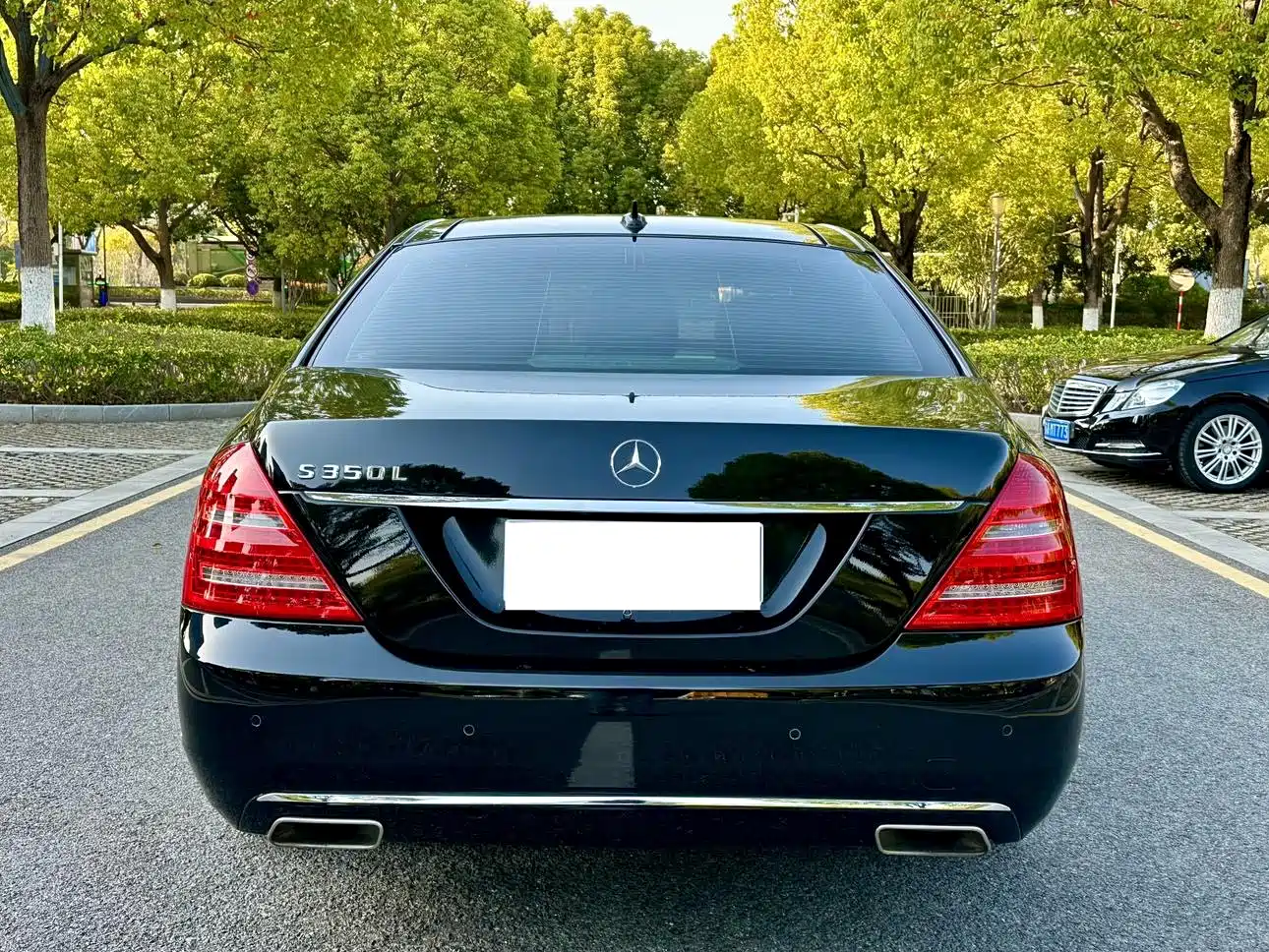 Mercedes-Benz S-Class 2012 S 300 L Luxury Grand Edition фото 24