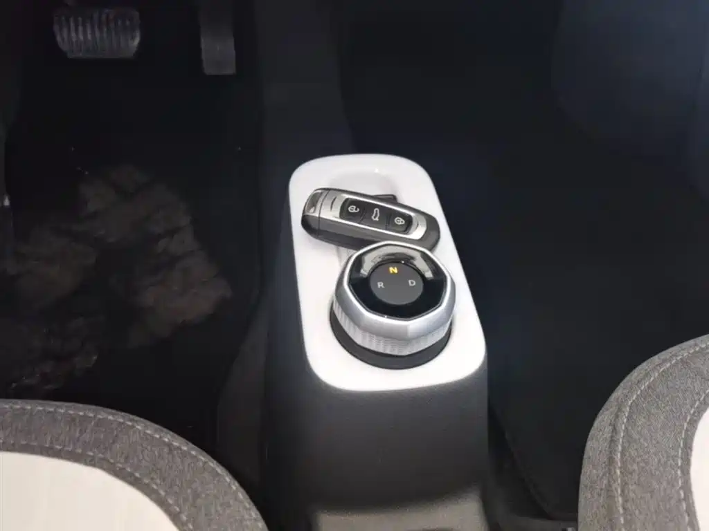 Geely Galaxy Panda 2025 Panda mini 210km Vitality Bear фото 14