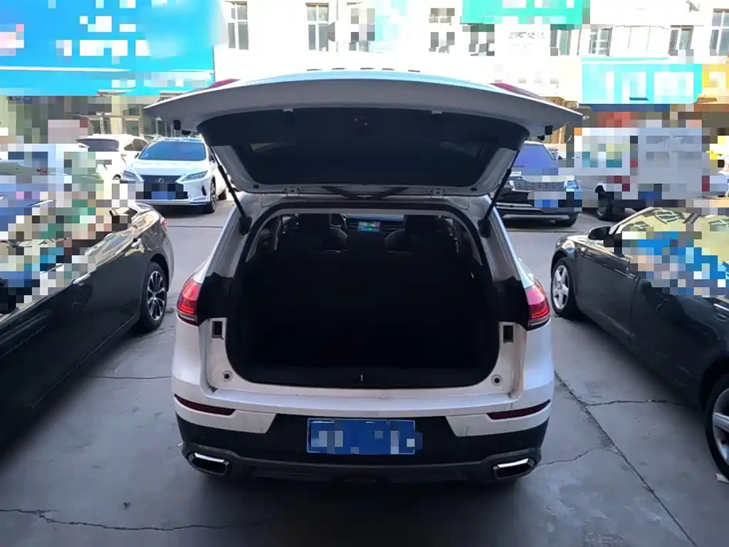 Haval H6 2020 1.5GDIT Automatic Platinum Champion Edition фото 19
