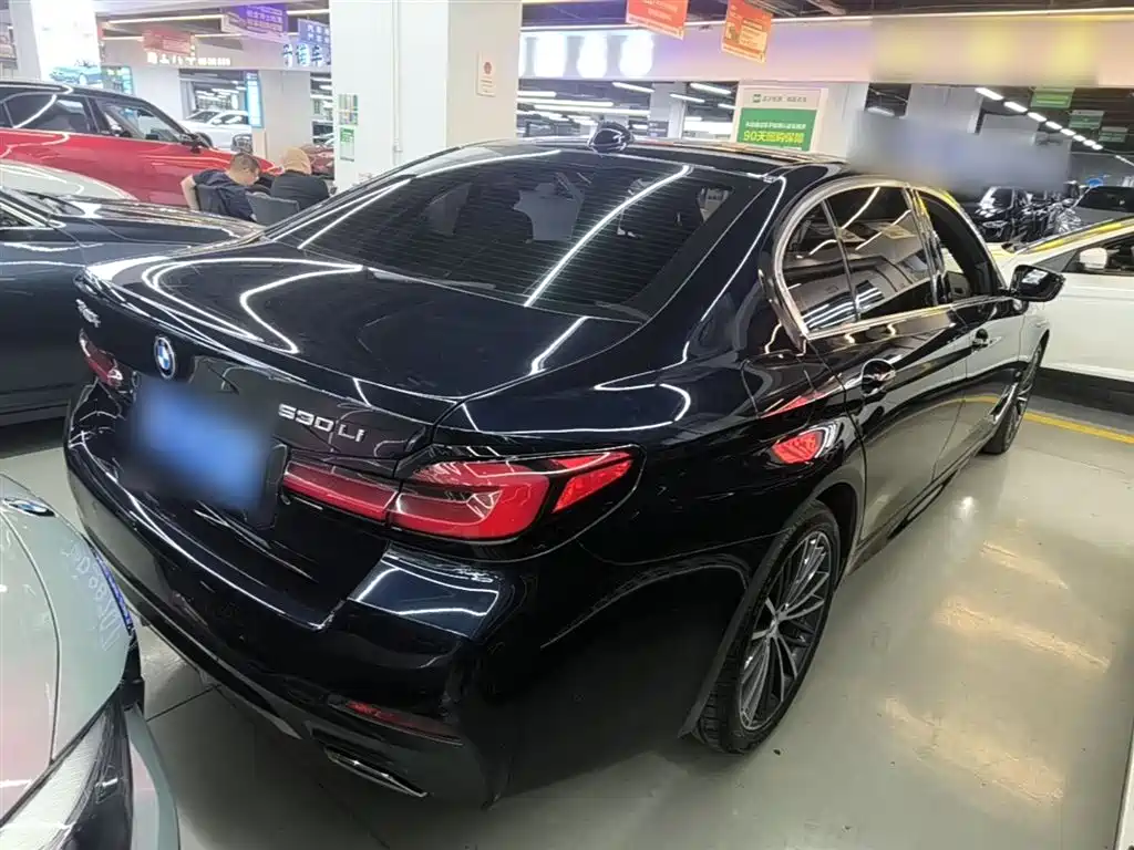 BMW 5 Series 2021 530Li Leading M Sport Package фото 6