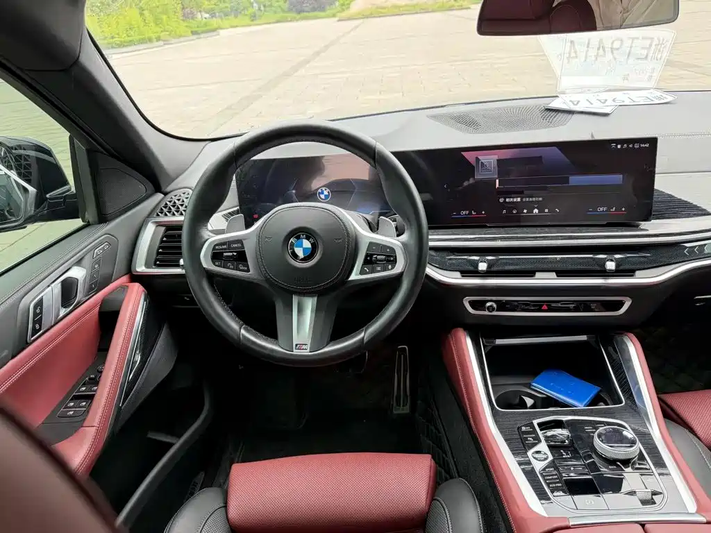 Photo 12 - BMW X6