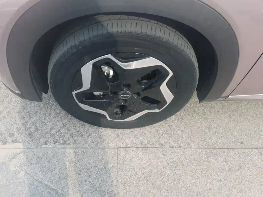 BYD Dolphin 2022 2021 Model 405km Fashion Edition
