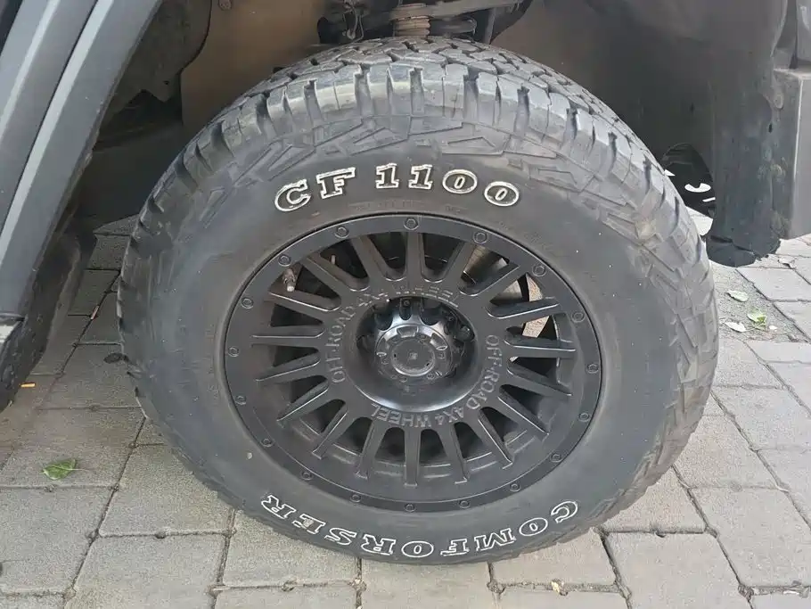 Tank 300 2021 2021 Off-road Version 2.0T Conqueror