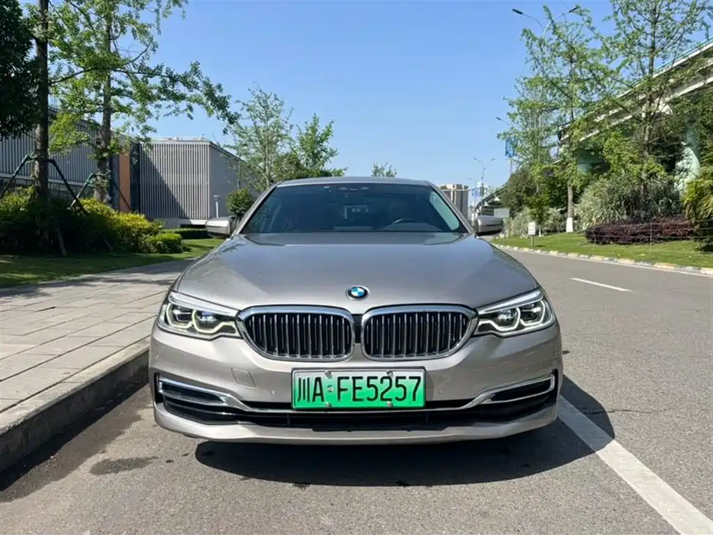 BMW 5 Series New Energy 2020 530Le Luxury Package фото 2