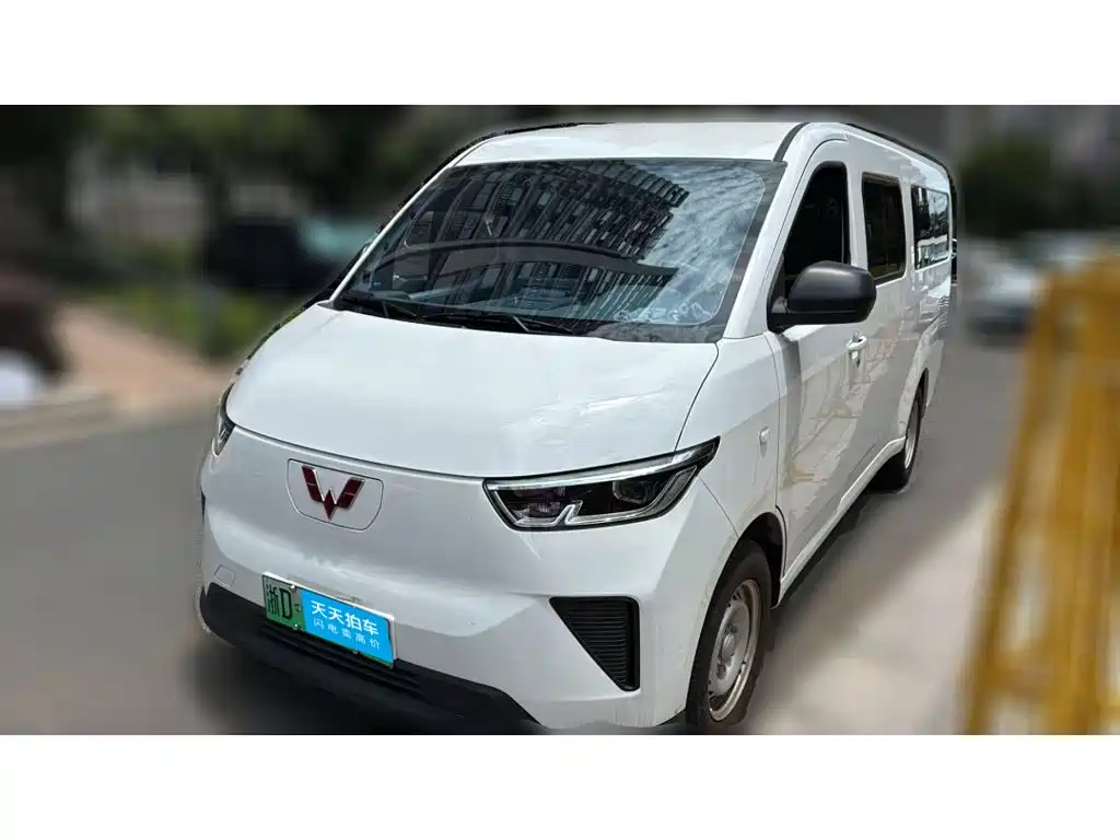 2026 Wuling Motors Wuling Yangguang
