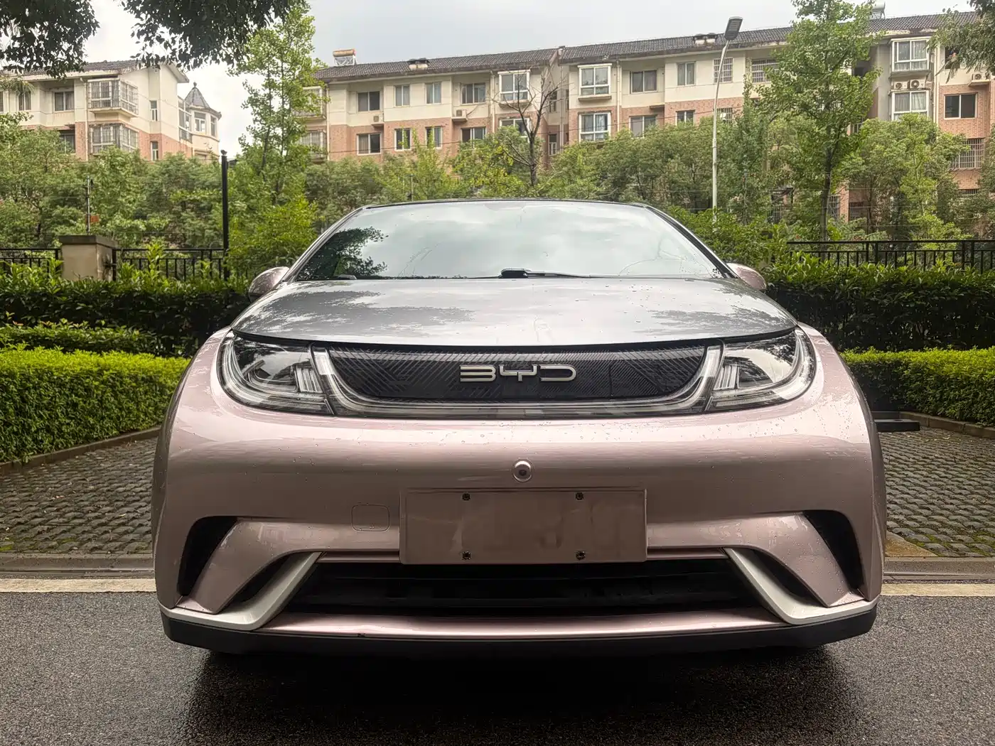 BYD Dolphin 2021 2021 Model 405km Fashion Edition