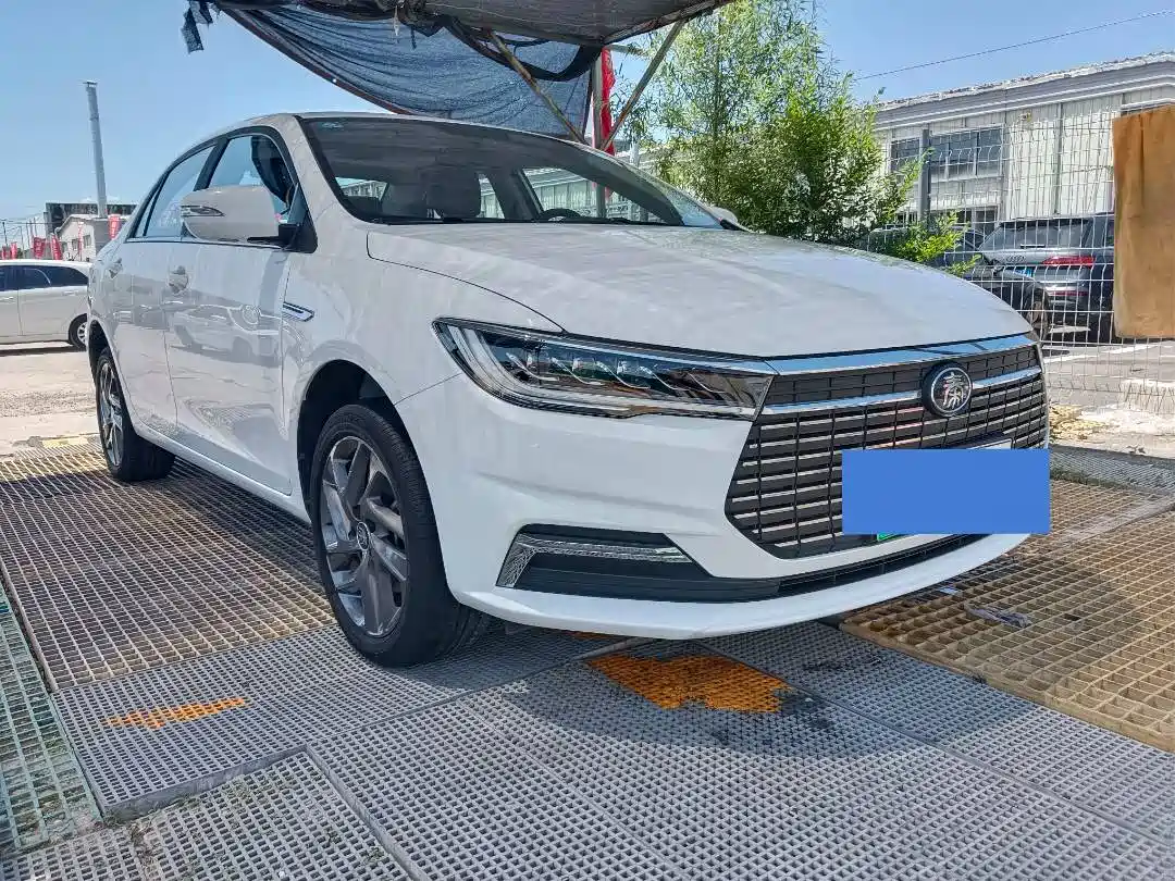 BYD Qin New Energy 2019 Long Range Edition Premium фото 3