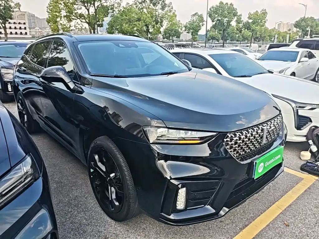 WEY VV7 2020 2021 Model 2.0T Technology Edition