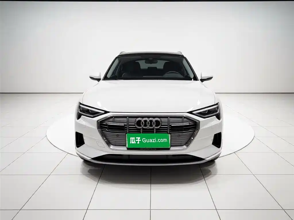 Audi e-tron (Import) 2019 55 quattro Technology фото 2