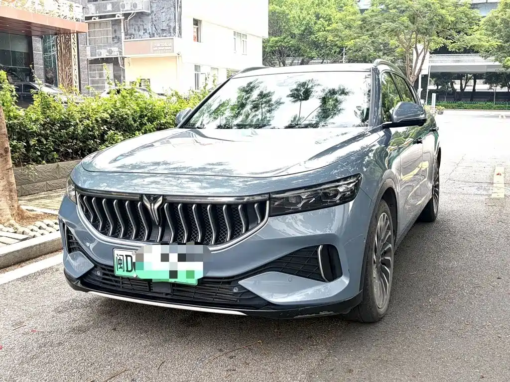 Voyah Auto VOYAH FREE 2021 2021 AWD Standard Extended Range Edition