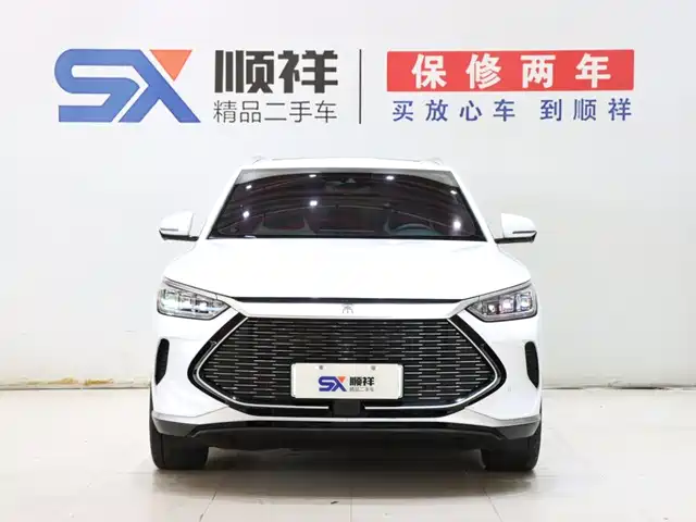 BYD Song PLUS PHEV 2021 DM-i 110KM Flagship PLUS — фото 2