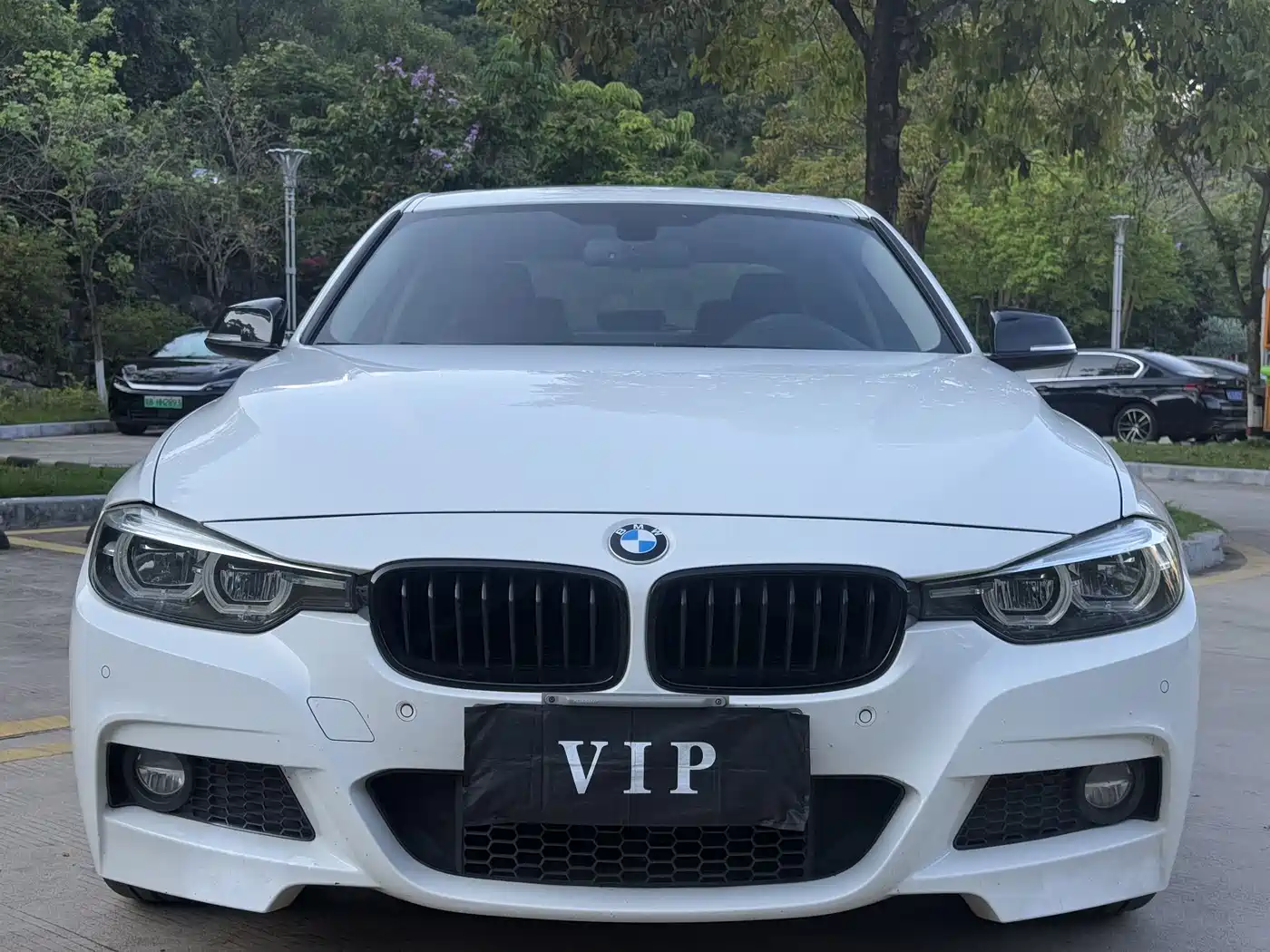 BMW 3 Series 2019 320Li M Sport Black Night Edition фото 2