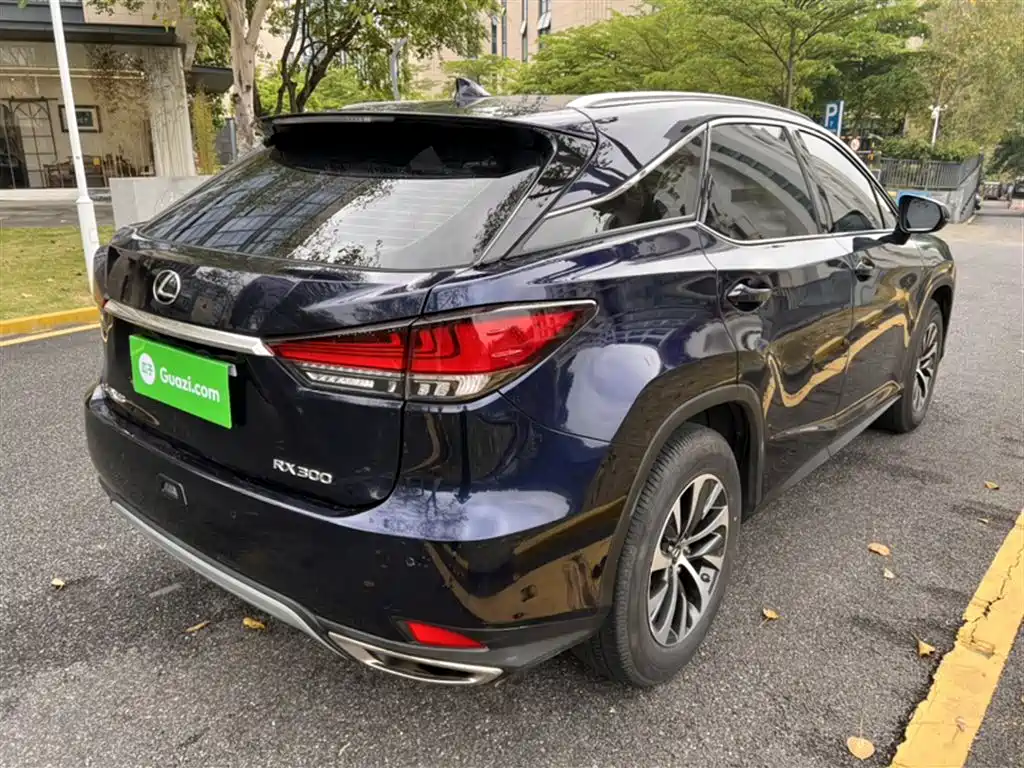 LEXUS RX