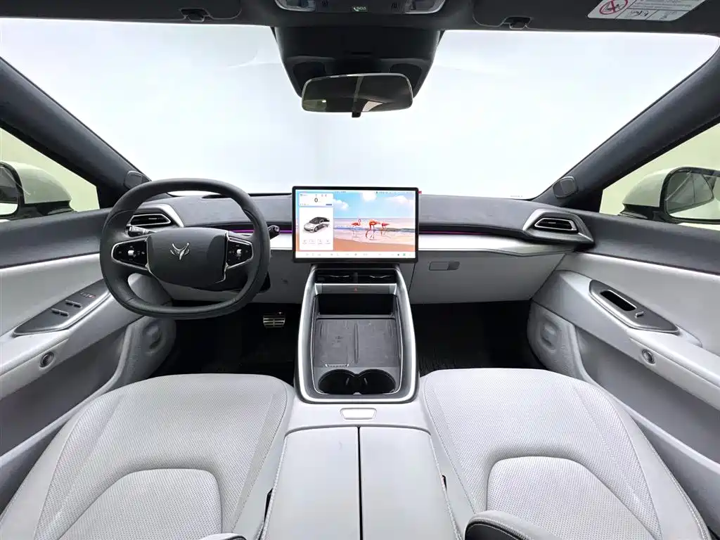 ARCFOX EXTREME FOX POLAR FOX ALPHA S5