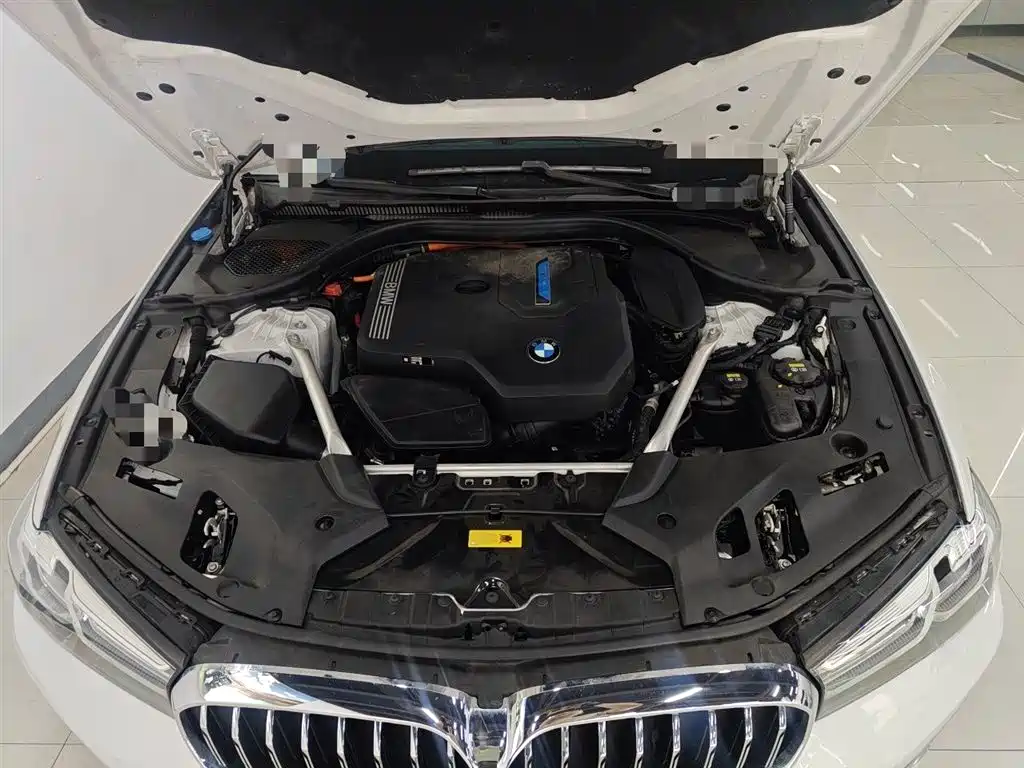 BMW 5 Series New Energy 2021 535Le Luxury Package фото 21