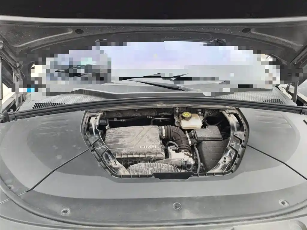 BYD Song PLUS PHEV 2021 DM-i 110KM Flagship PLUS 5G Edition фото 16