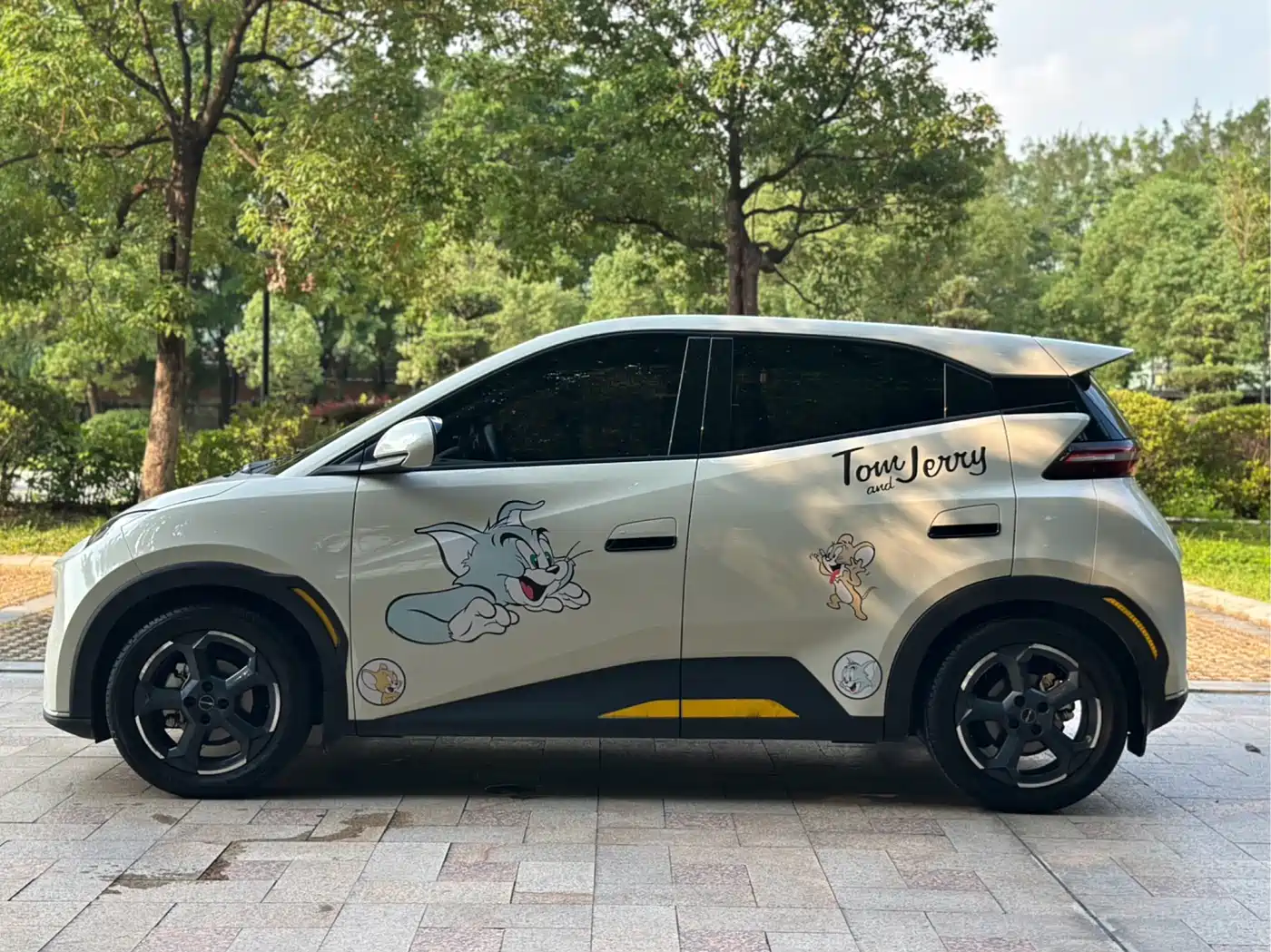BYD Seagull 2023 Freedom Edition фото 4