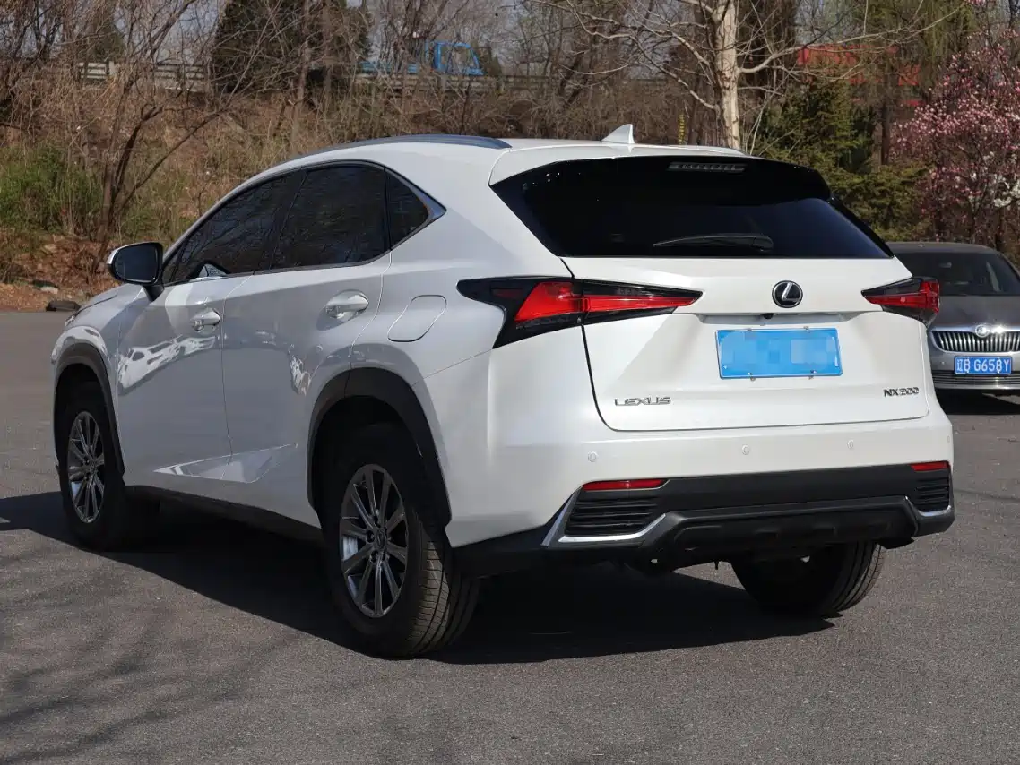 Lexus NX 2018 Model 200 AWD Fengshang Edition China V фото 7